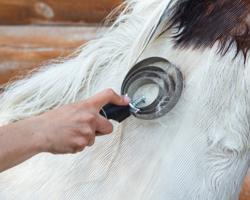 Preparing for Shedding Season